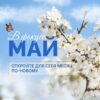 Онлайн-рубрика «ЭтО_ИнТеРеСнО»